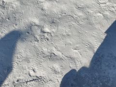-沈阳奥体冰雪嘉年华