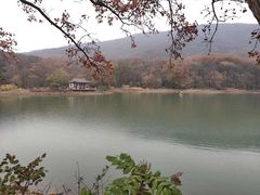 -紫霞湖公园