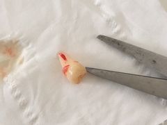-杨浦区牙防所(中原门诊部)