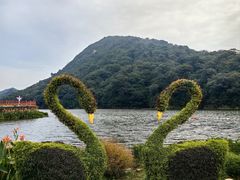 -广州市石门国家森林公园