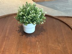 -YOLO COFFEE悠乐咖啡