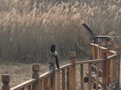 -处女泉风景名胜区