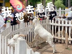 -前小桔亲子创意农场·草莓采摘·露营烧烤