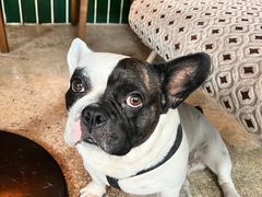 -Burger Bar 山沐西餐吧(钟村店)