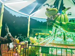 -锦江乐园舞狸花花游园会(夜场专享)