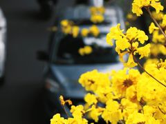 -华西坝(地铁站)