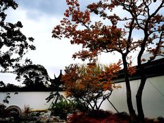 -上海滨江森林公园
