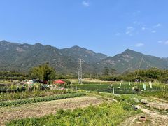 -竹语饭香·原生态农庄·烧鸡·竹筒饭·河鲜(森林海白水寨店)