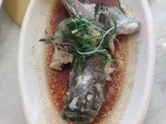-稻香酒家·35年老字号(侨光店)