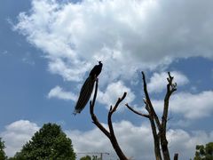 -杭州野生动物世界