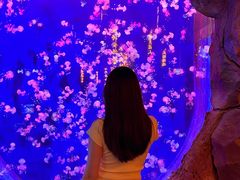 -威海华夏城景区