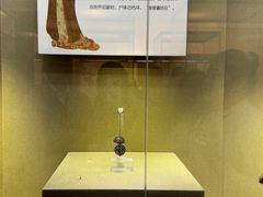 -中国沉香文化博物馆