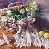 [亲亲]艺术感极强的水彩画，传神又引人遐想[礼花]