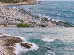 -广东惠东海龟国家级自然保护区