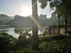 -重庆彩云湖湿地公园