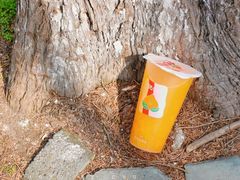 -伏小桃(明瓦廊店)