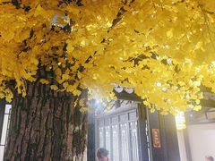 -江南韵·无锡太湖文化体验餐厅(凤凰天街店)