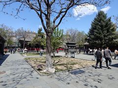 -护国法轮寺