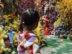 -正佳雨林生态植物园