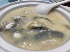 -新吉士·上海菜(浦东LCM置汇旭辉店)