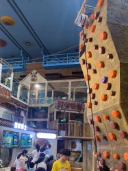 -卡通尼·Safari非洲探索乐园·生日会(金桥国际商业广场店)