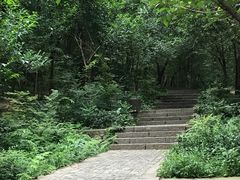 -紫金山山顶公园