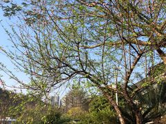 -广州神农草堂中医药博物馆