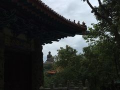 -宝莲禅寺