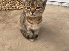 -丰茂烤串(金源店)