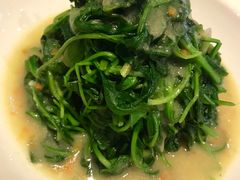 -半山腰·云南菜(侨福芳草地店)