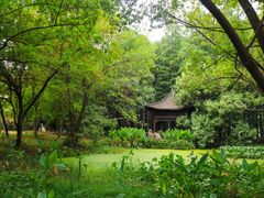-东湖落雁景区