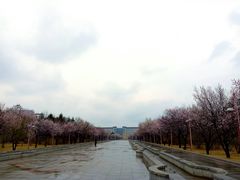 -吉林大学(前卫南区)