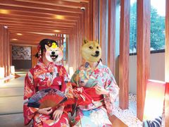 -重庆南山海昌汤都
