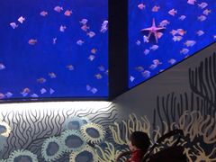 -沈阳海洋探索中心