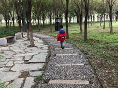 -东郊湿地公园