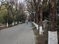 -白塘生态植物园