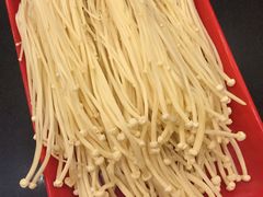 -芦月轩羊蝎子(北蜂窝店)