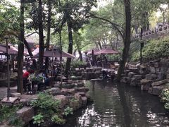 虞山野生覃油面-兴福老面馆(寺路街店)