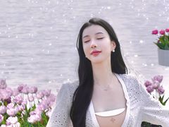 -荷兰花海