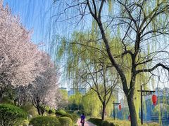 -西安汉城湖景区
