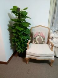 -尚美日式美甲美睫工作室