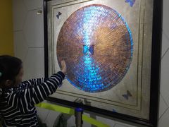 -上海昆虫博物馆