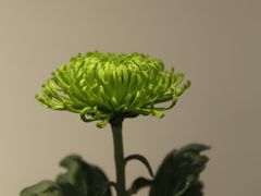 -汇龙潭
