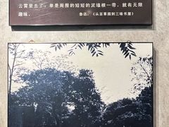 -绍兴鲁迅故里·沈园景区