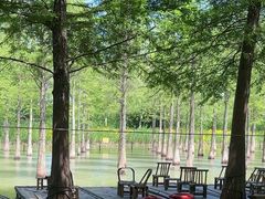 -泗洪洪泽湖湿地景区