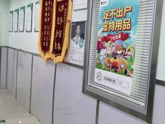 -佳雯宠物医院(金华南路分院)