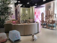 -藏猫猫咖啡主题馆(中央大道店)