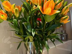 -GOOD GOODS咖啡店(南园店)