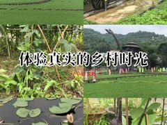 -红山村