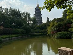 -红梅公园